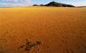 Загадочные круги в Намибии, фото №2 из 15