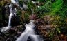 Водопад на острове Маэ, фото №10 из 15