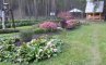 Горно-Алтайский ботанический сад, фото №4