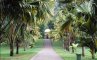 Королевский Ботанический Сад, Перадения, Шри-Ланка, фото №4