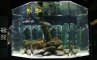 Эресуннский аквариум, фото №1