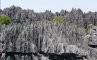 Каменный лес Мадагаскара, фото №11 из 12