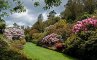 Pukeiti Rhododendron Gardens, фото №2 из 26